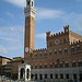 siena