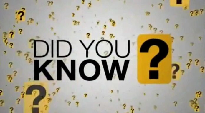 Para refletir: Did you know 3.0