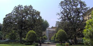 O jardim do Palazzo Capponi em maio de 2007