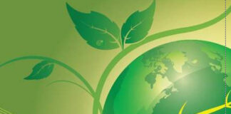 Diferencie-se no mercado de trabalho: carreira ECO!