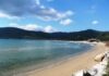 Lacona Experience Ilha de Elba