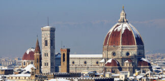 Foto de Filippo - Branzino Curioso