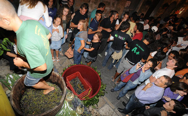 Setembro é o mês do vinho na Maremma Toscana