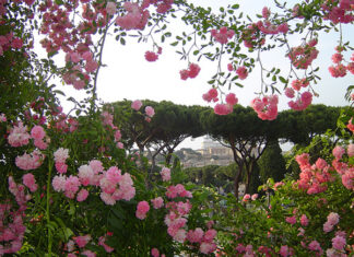 Roseto Comunale Roma