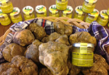 5 eventos onde saborear a deliciosa trufa branca na Itália (tartufo bianco) 2026 Mercado de San Giovanni dAsso