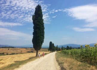 via degli dei no Mugello