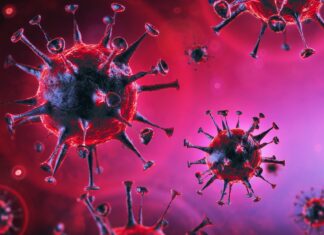 coronavirus