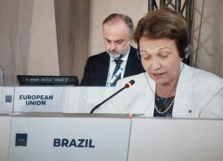 A ministra da agricultura do Brasil durante o G20 em Florença