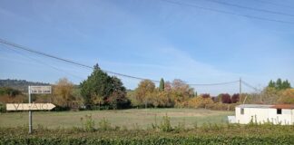 McDrive no Chianti: a polêmica sobre a possível construção