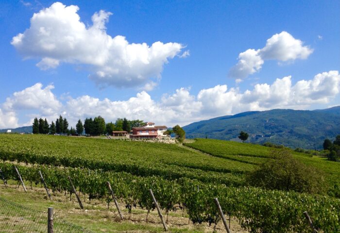 vinhedos na Toscana
