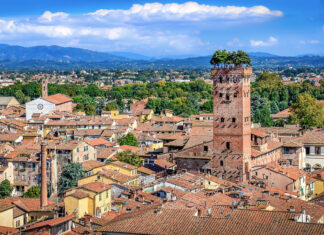 Torre Guinigi em Lucca