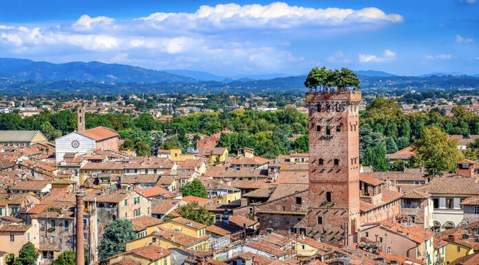 Torre Guinigi em Lucca