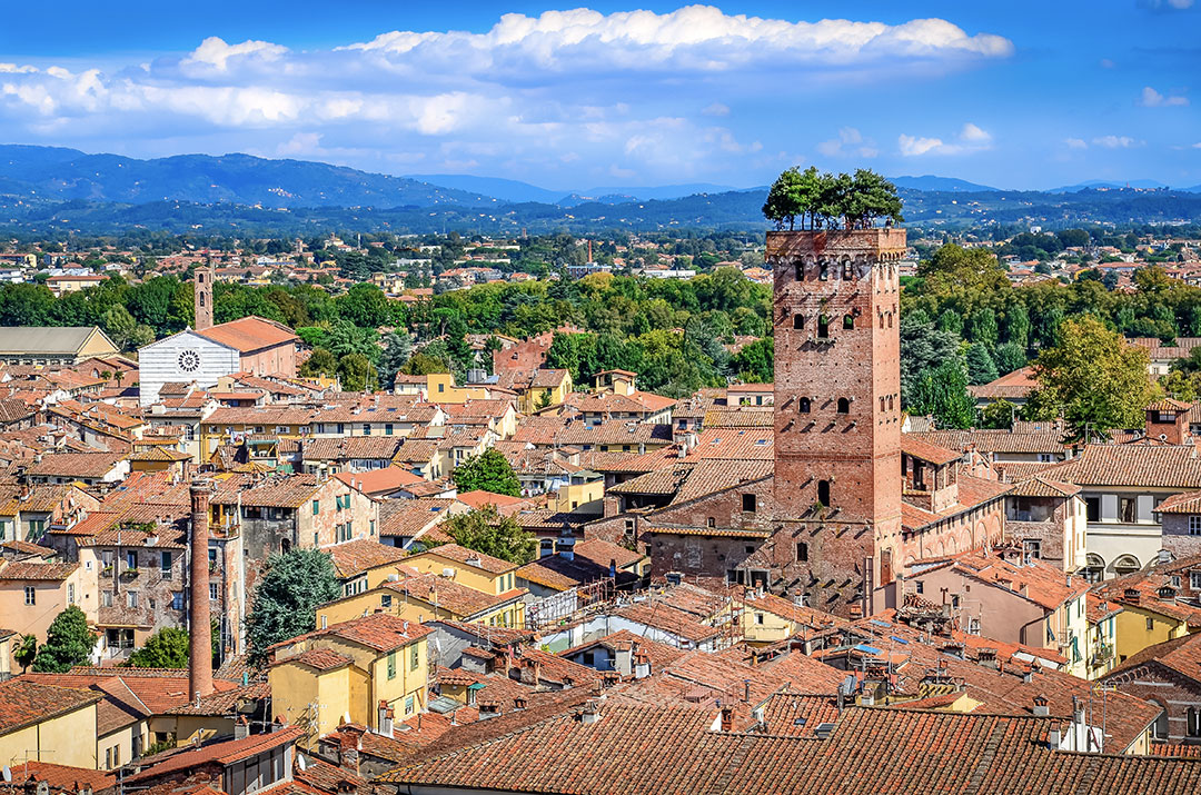 Torre Guinigi em Lucca