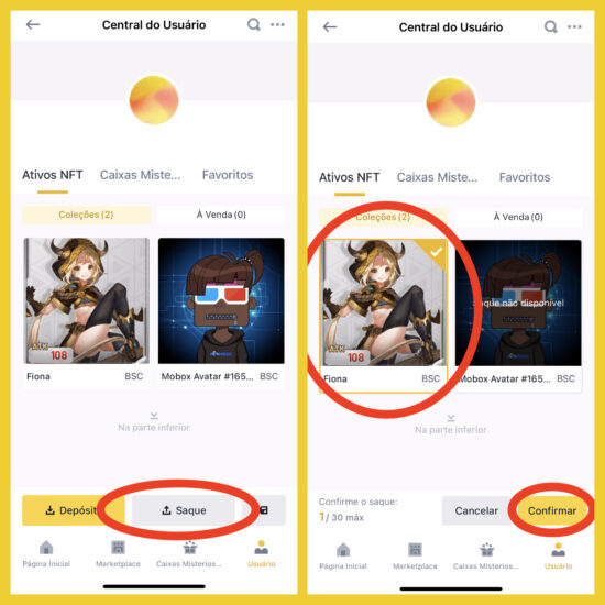 exportar nft carteira