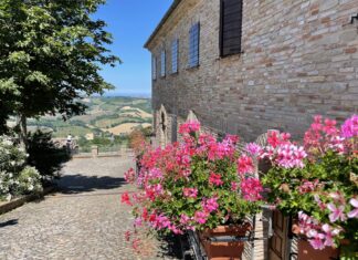 Offagna Marche Italia Marcas