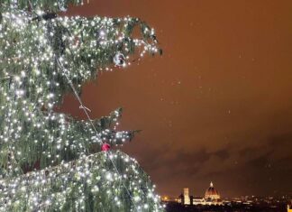 Feriado 8 de dezembro na Italia - na foto uma árvore de natal acesa em uma noite em Florença. no fundo dá para ver a catedral iluminada