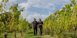 vinhos italianos Bocelli - na foto Andrea e Alberto Bocelli