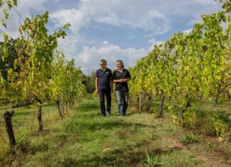 vinhos italianos Bocelli - na foto Andrea e Alberto Bocelli