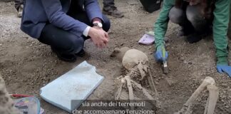 [Pompéia] Encontrados 2 novos esqueletos nas escavações da "Insula dei Casti Amanti"