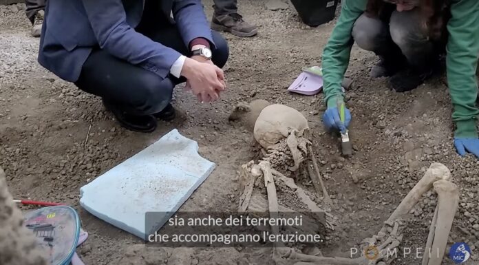 [Pompéia] Encontrados 2 novos esqueletos nas escavações da "Insula dei Casti Amanti"