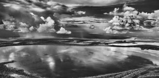 Anavilhanas, ilhas florestais do Rio Negro. Estado do Amazonas, Brasil, 2009 © Sebastião Salgado/Contrasto