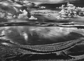 Anavilhanas, ilhas florestais do Rio Negro. Estado do Amazonas, Brasil, 2009 © Sebastião Salgado/Contrasto