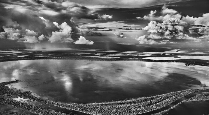 Anavilhanas, ilhas florestais do Rio Negro. Estado do Amazonas, Brasil, 2009 © Sebastião Salgado/Contrasto