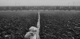 Sebastião Salgado em Ravenna: a mostra Exodus - Umamità in Cammino será inaugurada em março