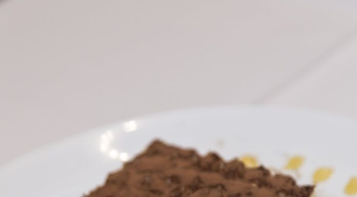 Receita Exótica de Tiramisù com sabores da Amazônia Ganha Etapa Brasileira