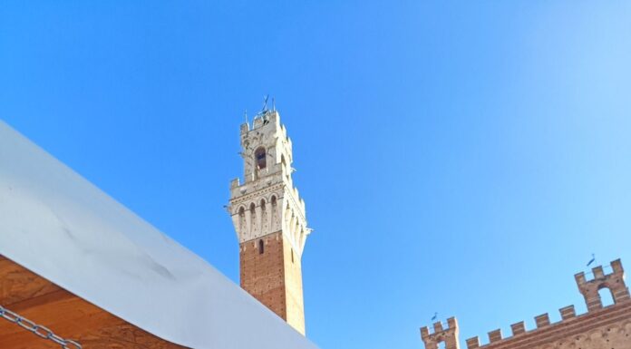 Mercato nel Campo Siena