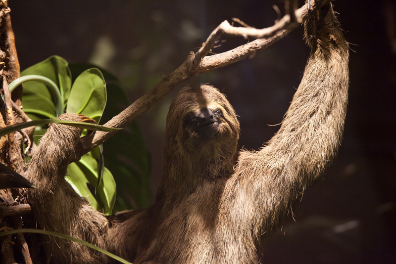 MUMA: O Museu Missionário de Assis que Une Tecnologia e Tradição