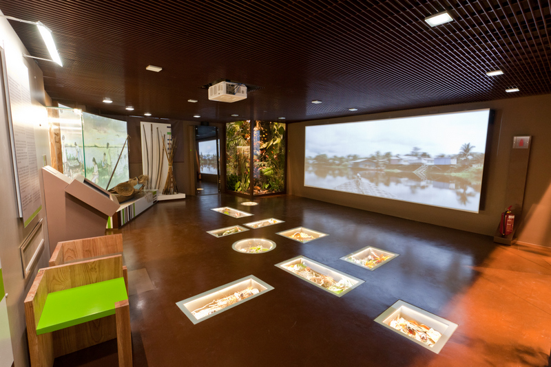 MUMA: O Museu Missionário de Assis que Une Tecnologia e Tradição