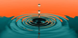 Musica Diffusa em Florença: concertos gratuitos no outono Imagem do evento Musica Diffusa em Florença