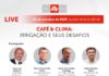 Café & Clima: Brasil e Itália unidos por uma cafeicultura mais sustentável - live illycafe