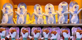 Você sabia? Nas Olimpíadas de Inverno só aceitam UMA bandeira de cartão