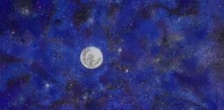 800 Anos de São Francisco de Assis: Uma Exposição de Arte na Certosa di Firenze