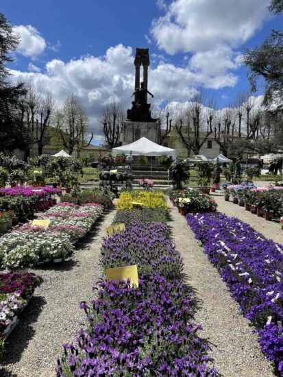 Fiorinfiera 2026 em Borgo San Lorenzo: um passeio florido no Mugello para sair do óbvio perto de Florença 1 Fiorinfiera 2026 acontecerá em Borgo San Lorenzo, cidade a 40 minutos de Florença