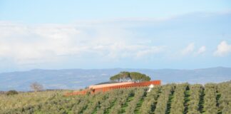 O Forum Fondazione Bertarelli rodeado por vinhedos na Toscana