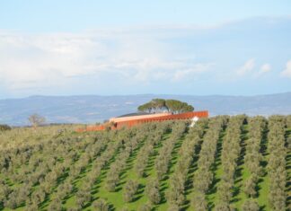 O Forum Fondazione Bertarelli rodeado por vinhedos na Toscana