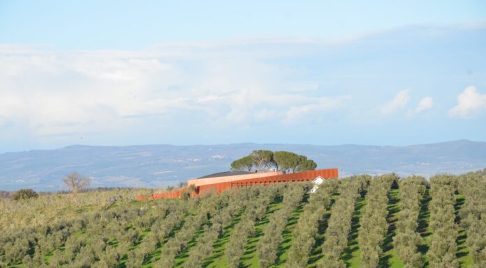 Amiata Music 2026: temporada leva grandes nomes da música ao Forum Fondazione Bertarelli na Toscana O Forum Fondazione Bertarelli rodeado por vinhedos na Toscana