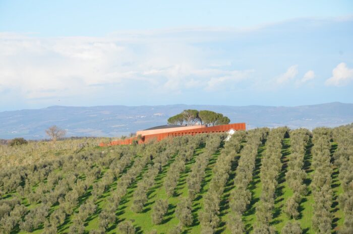 O Forum Fondazione Bertarelli rodeado por vinhedos na Toscana