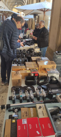 Foto Antiquaria: expositores de toda a Itália se reúnem em Arezzo com produtos relacionados ao mundo da fotografia