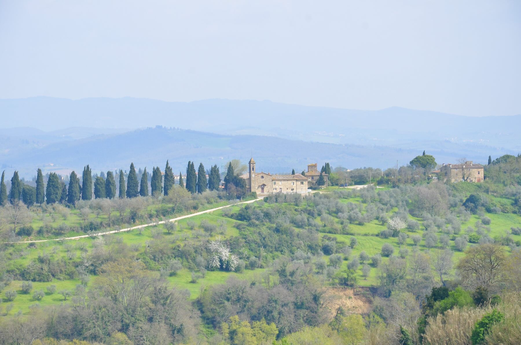 Na Toscana, alguns lugares são acessíveis exclusivamente de carro e se você quer ter essa liberdade, vale a pena alugar um carro