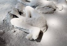 Visitar Pompeia hoje: nova descoberta no Orto dei Fuggiaschi revela vítima do Vesúvio Visitar Pompeia hoje: nova descoberta no Orto dei Fuggiaschi revela vítima do Vesúvio