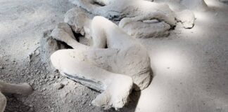 Visitar Pompeia hoje: nova descoberta no Orto dei Fuggiaschi revela vítima do Vesúvio