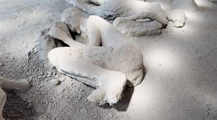 Visitar Pompeia hoje: nova descoberta no Orto dei Fuggiaschi revela vítima do Vesúvio