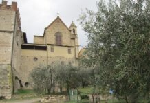 Igreja e muros da Certosa di Firenze entre oliveiras, no alto da colina do Galluzzo, em Florença