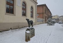A estátua de Fido coberta por neve em um dia de inverno de 2018