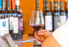 Terre di Pisa Food & Wine Festival 2026: degustações grátis a poucos passos da estação Taça de vinho tinto diante de garrafas de produtores da região de Pisa, imagem de divulgação do Terre di Pisa Food & Wine Festival