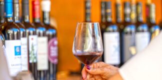 Taça de vinho tinto diante de garrafas de produtores da região de Pisa, imagem de divulgação do Terre di Pisa Food & Wine Festival